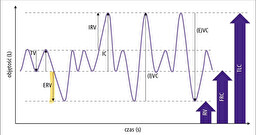 <p>Co to za pojemność płuc ssaka?</p>