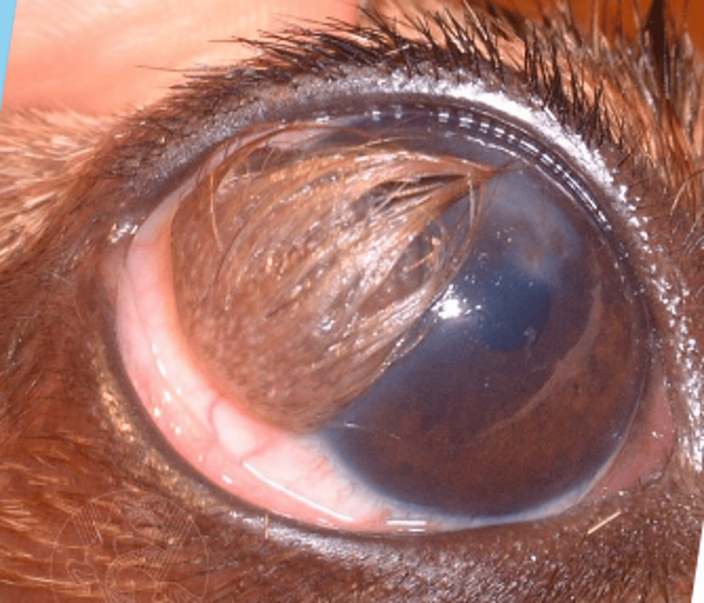 <p>what is this called?</p>