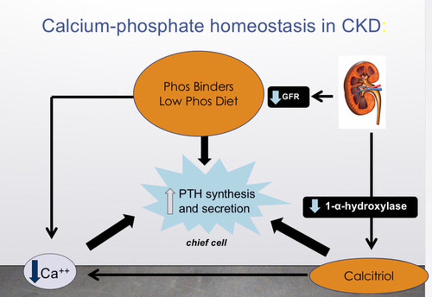 <p>1) phosphate control via dietary phosphate restriction (avoiding foods high in phosphorus like dairy, nuts and phosphate binders</p><p>2) vitamin D supplementation with active vitamin D analogs (ex: calcitriol) to suppress PTH</p>