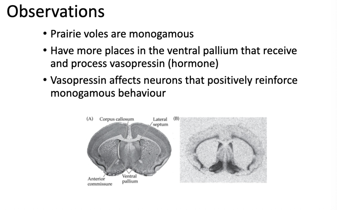 <div data-youtube-video=""><iframe width="640" height="480" allowfullscreen="true" autoplay="false" disablekbcontrols="false" enableiframeapi="false" endtime="0" ivloadpolicy="0" loop="false" modestbranding="false" origin="" playlist="" rel="1" src="https://www.youtube.com/embed/5ddlKQwDIe8?rel=1" start="0"></iframe></div><p></p>