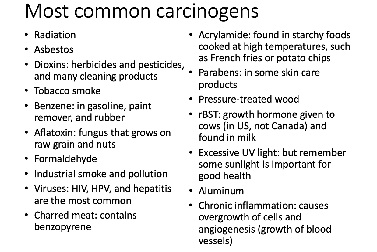 <p>Approximately what percentage of cancer deaths can be prevented by lifestyle changes?</p>