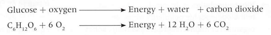 energy released and used
waste products are carbon dioxide and water

c6h12o6 + 6o2 --> energy + 12h2o + 6co2