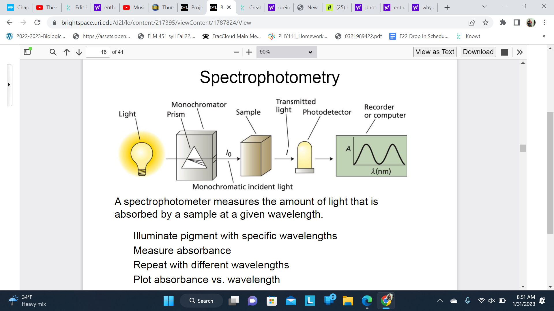 A spectrophotometer measures the amount of light that is absorbed by a sample at a given wavelength.

\
Illuminate pigment with specific wavelengths

Measure absorbance

Repeat with different wavelengths

Plot absorbance vs. wavelength

\
Each specific pigment has a spectrographic ‘fingerprint’ 
