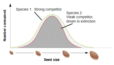 <p>when the inferior competitor goes locally extinct when niches overlap substantially</p><p>e.g. Galium in Tansley’s experiment</p>