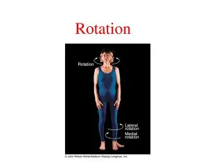 <p>Rotation</p>