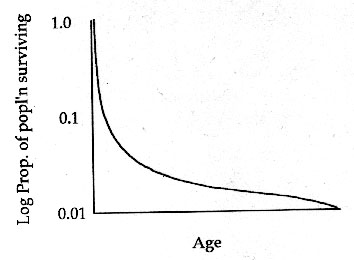 <ul><li><p>high fertility </p></li><li><p>low parental care</p></li><li><p>high mortality </p></li></ul><p></p>