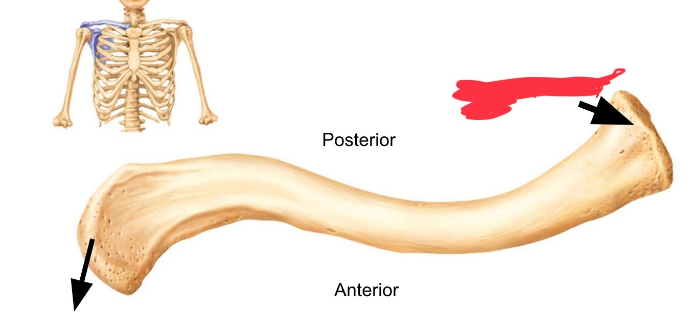 <p>What view is this?</p>