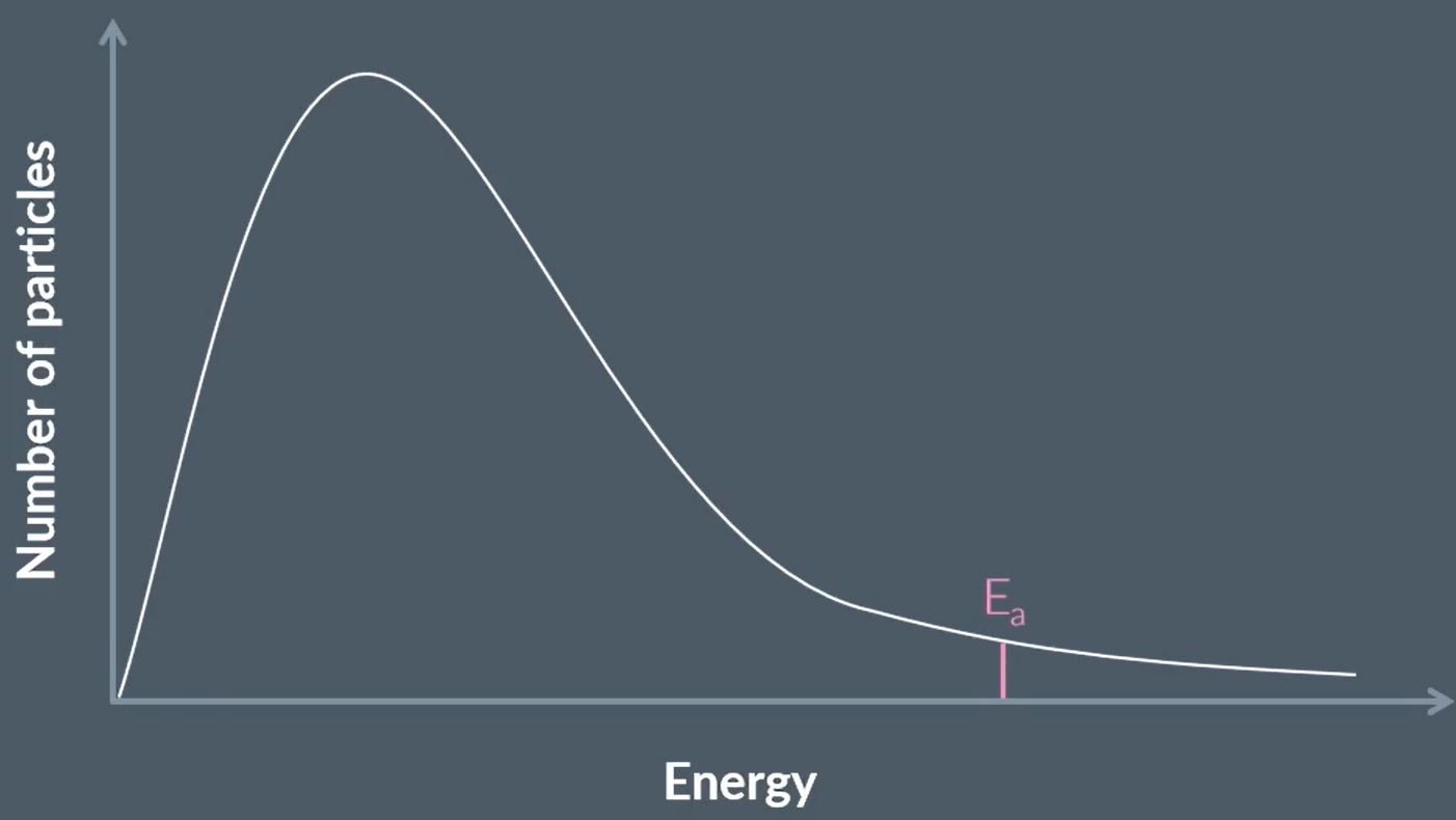 <p>draw this reaction with a catalyst</p>