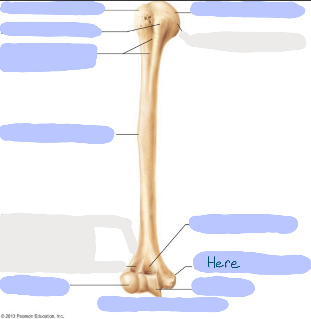 <p>What is here?</p>