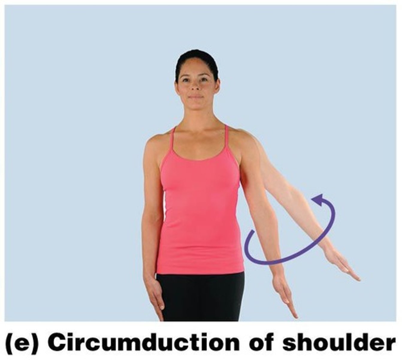 <p>A circular motion where the proximal end remains stationary while the distal end moves in a circular path.</p>