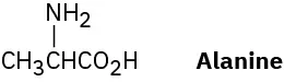 <p>(5-3)</p><p><span>Alanine, an amino acid found in proteins, is chiral. Draw the two enantiomers of alanine using the standard convention of solid, wedged, and dashed lines.</span></p>