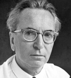 <p><strong><span>Vacío existencial (Frankl)</span></strong></p>