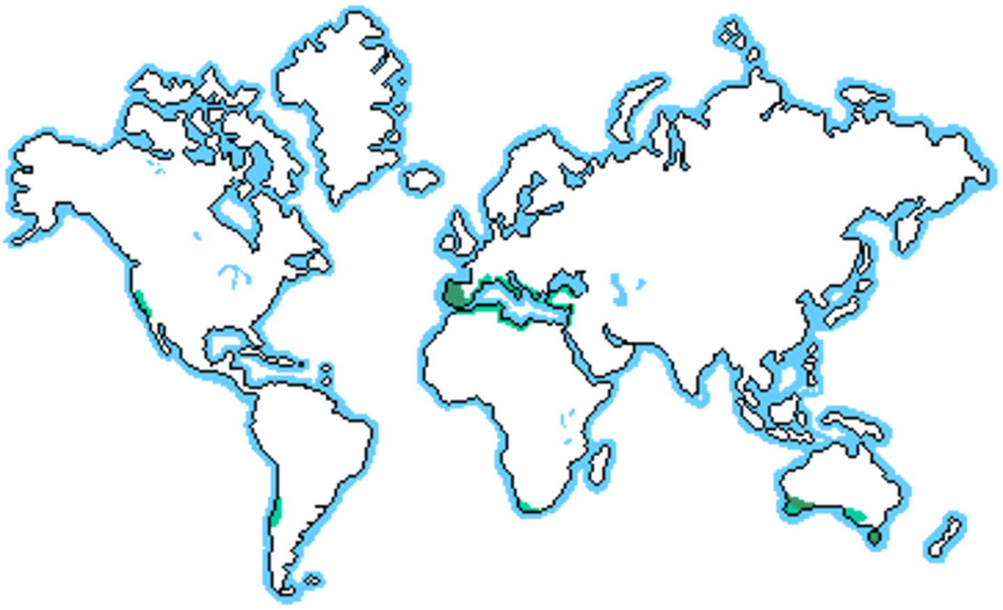 <p>W coastal regions between 30 and 40 degrees latitude</p>