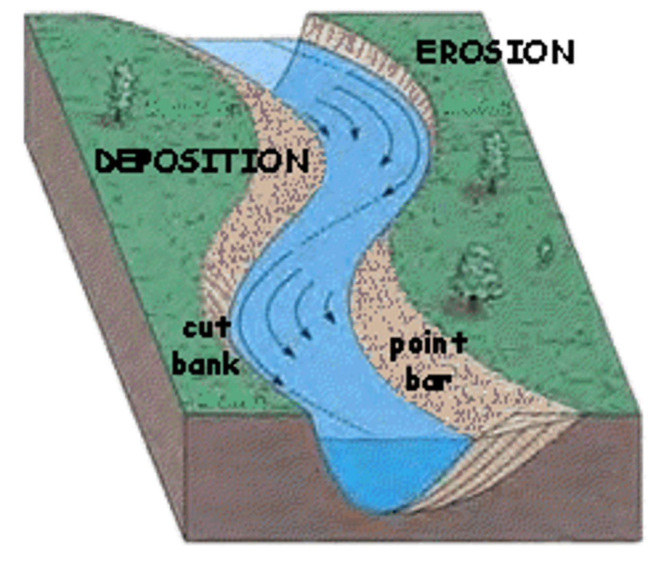 <p>The inside of a meander where deposition occurs</p>