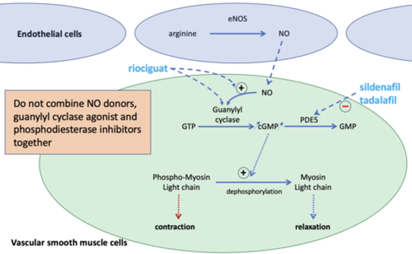 <p>Treatment of adults with pulmonary arterial hypertension. (Group 1 and 4)</p>