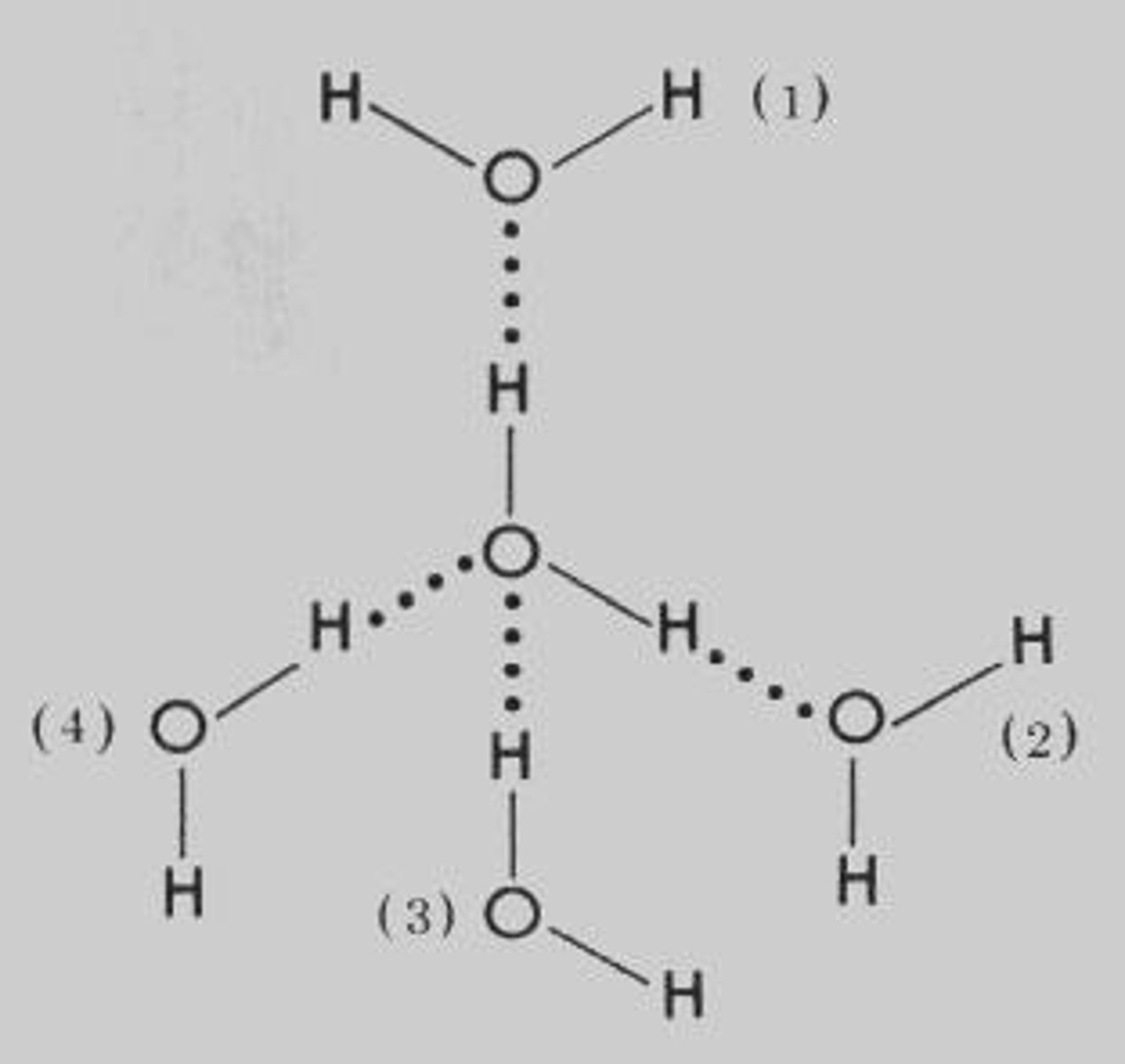 <p>They serve as significant sources of electron density and can act as hydrogen-bond acceptors.</p>