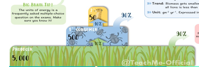 <p>make sure to keep it looking like 10% </p>