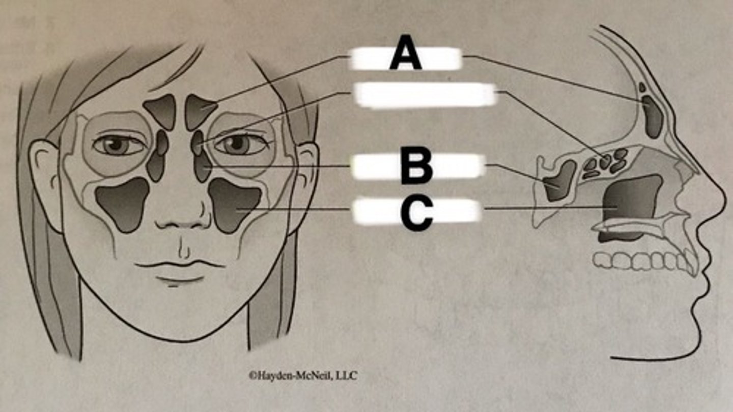 <p>What is C?</p>