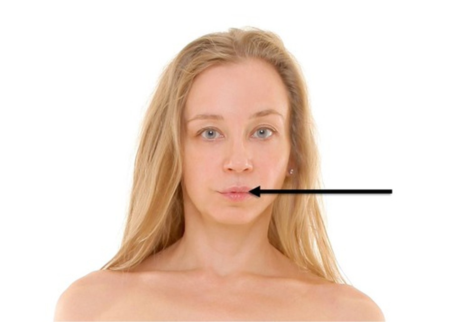 <p>pertaining to the mouth</p>