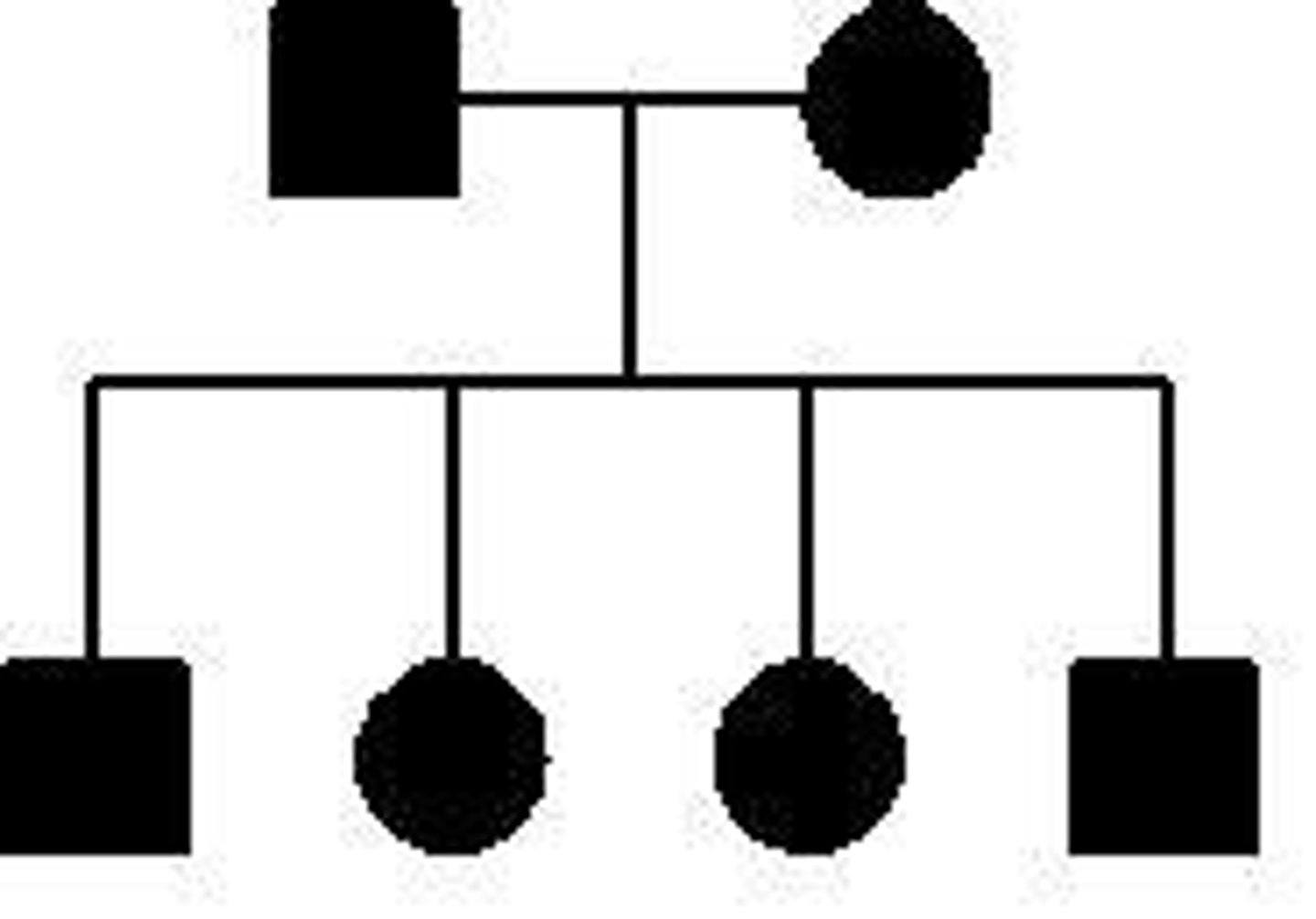 <p>Autosomal dominant</p><p>Autosomal recessive</p><p>X-linked recessive</p><p>X-linked dominant</p>