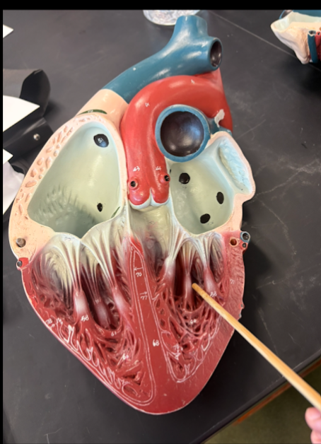 <p>What is this?</p>