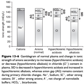<ul><li><p><span>If there is no change in the water content of plasma, plasma [Na+] will be normal</span></p><ul><li><p><span>When water content is normal, SID changes only as a result of changes in strong anions</span></p></li><li><p><span>If [Na+] remains constant, decreases in [Cl-] can increase SID (hypochloremic alkalosis)</span></p></li></ul></li><li><p><span>May be caused by an excessive loss of chloride relative to sodium or by administration of substance containing more sodium than chloride as compared with normal ECF composition</span></p><ul><li><p><span>Excessive loss of chloride relative to sodium as compared with normal ECF composition can occur in the urine after administration of diuretics that cause chloride wasting (e.g. furosemide) or when the fluid lost has a low or negative SID (vomiting)</span></p></li></ul></li></ul><p></p>