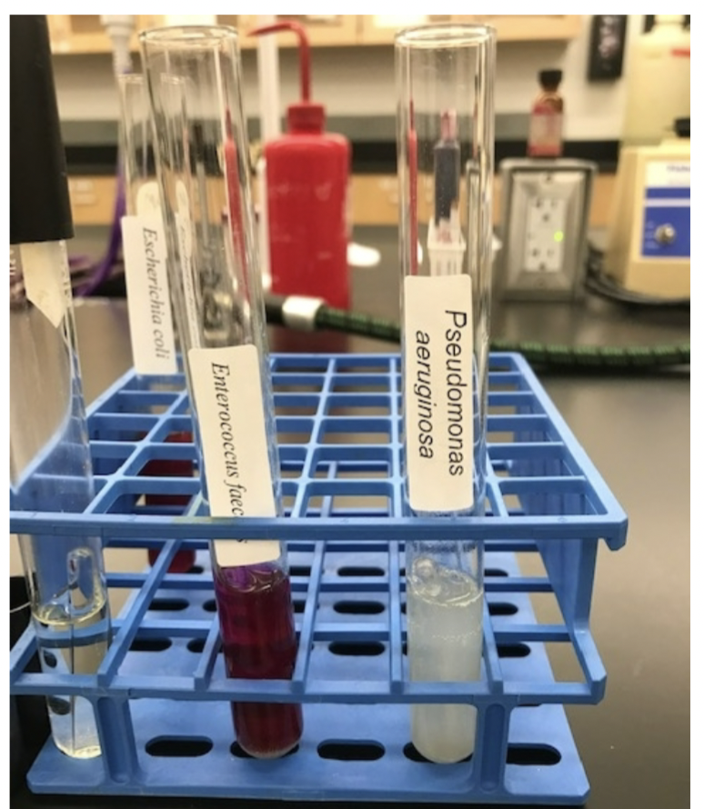 Add Zn dust

\+ no color (nitrate got all the way to N2 gas)

\- red