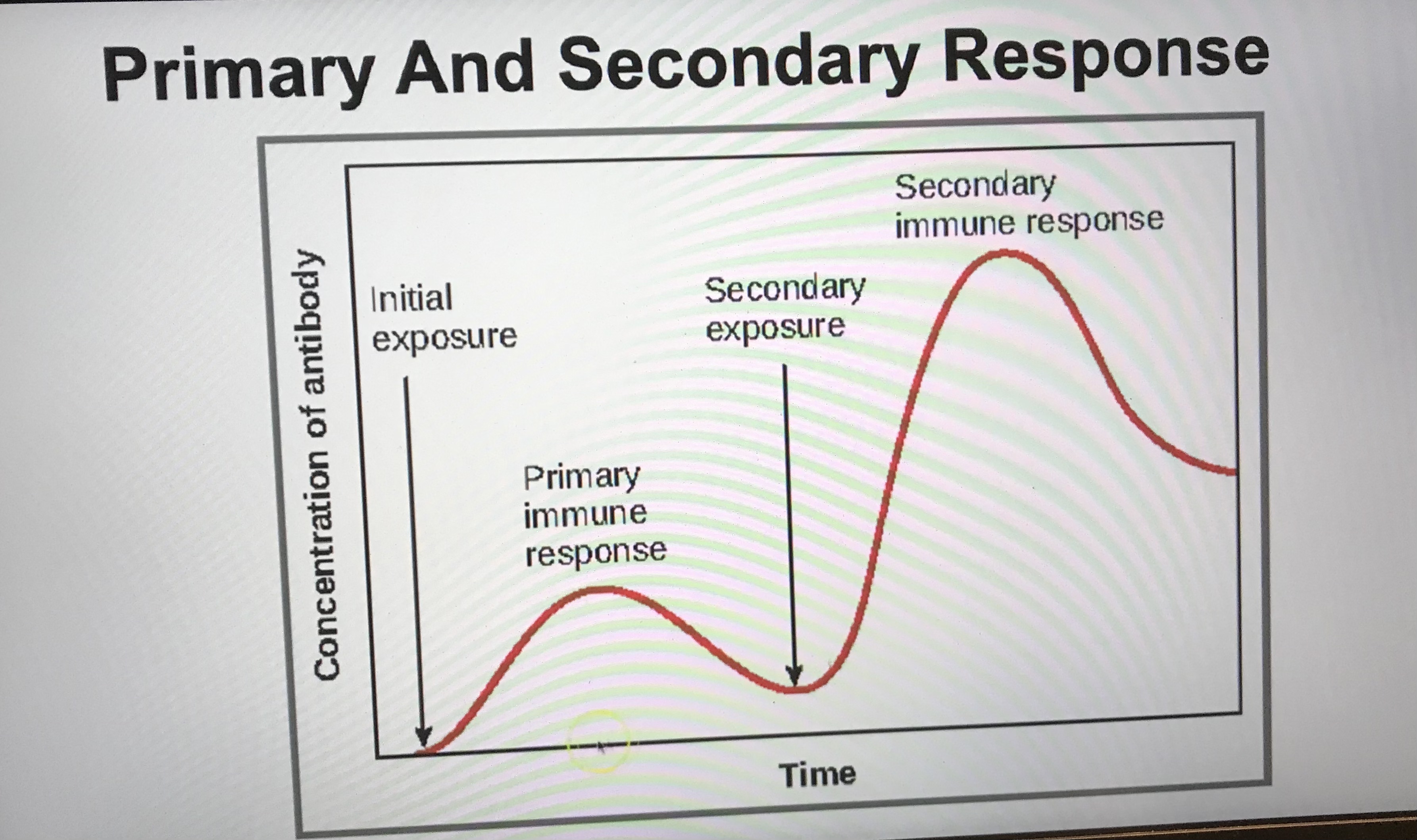 <p>Explain the curves in the graph </p>