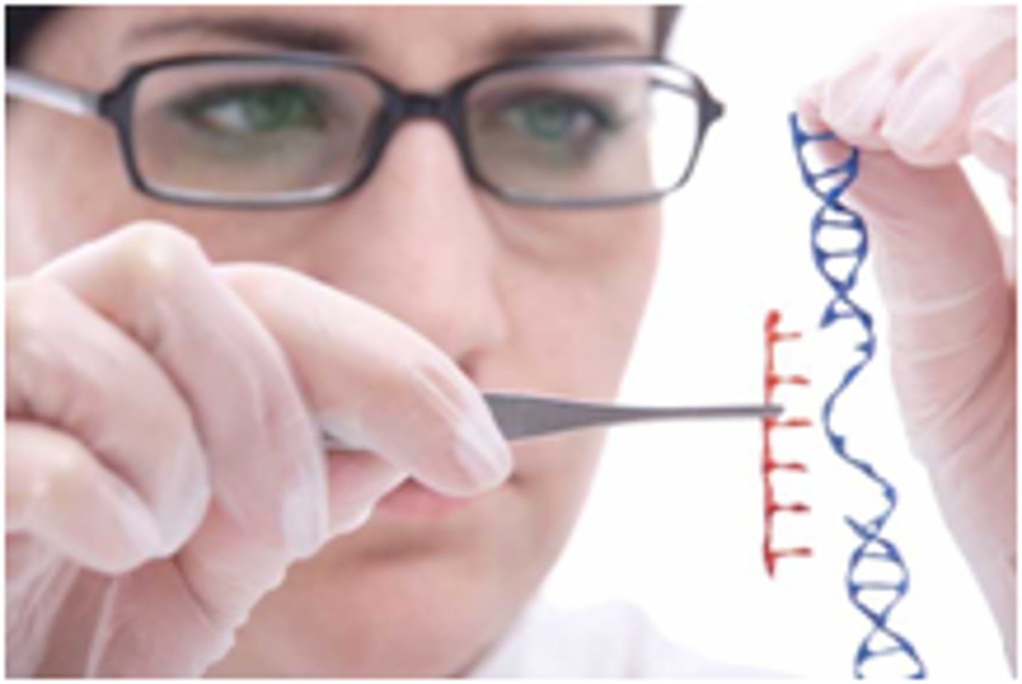 <p>is the process where a piece of DNA is modified for use in research, medicine, agriculture, or industry</p>