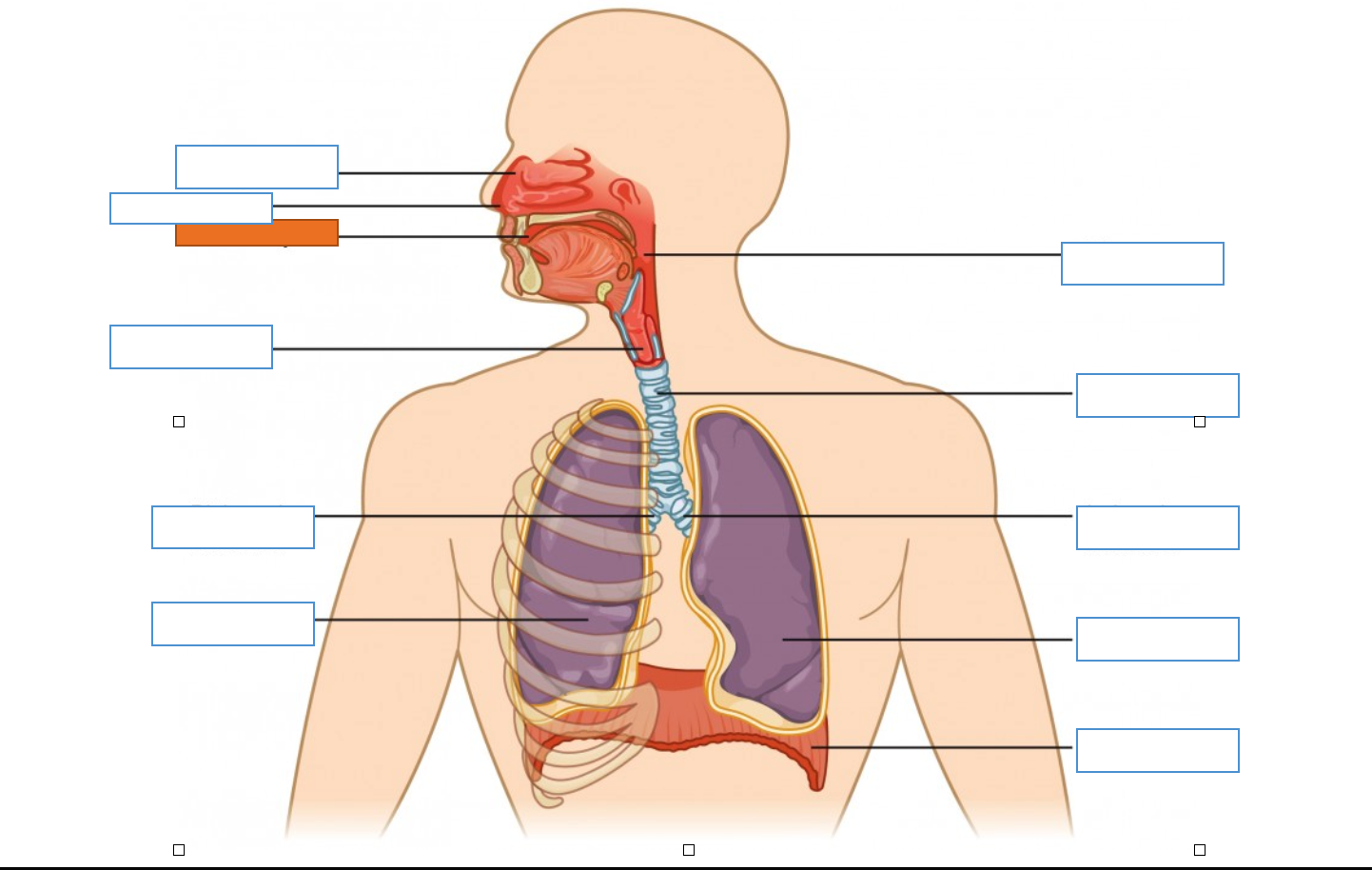 <p>What is this identifying?</p>