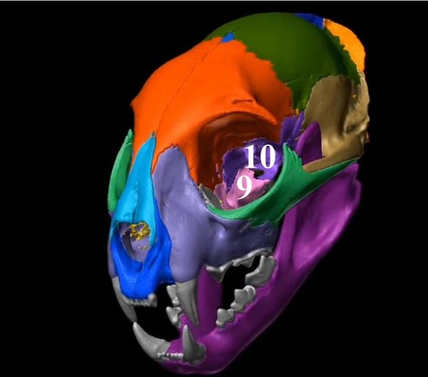 <p>9</p>