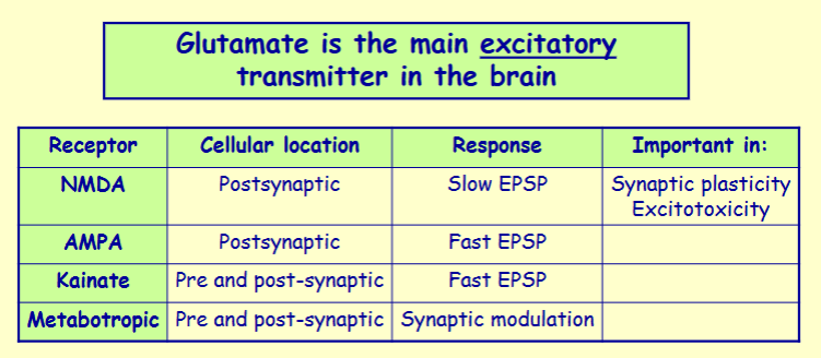 <p>EPSP: Excitatory post-synaptic potential</p>