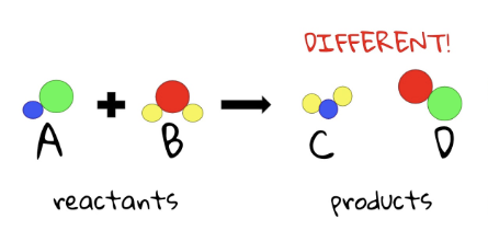 <p><span>the new substances which result from the chemical reaction</span></p>