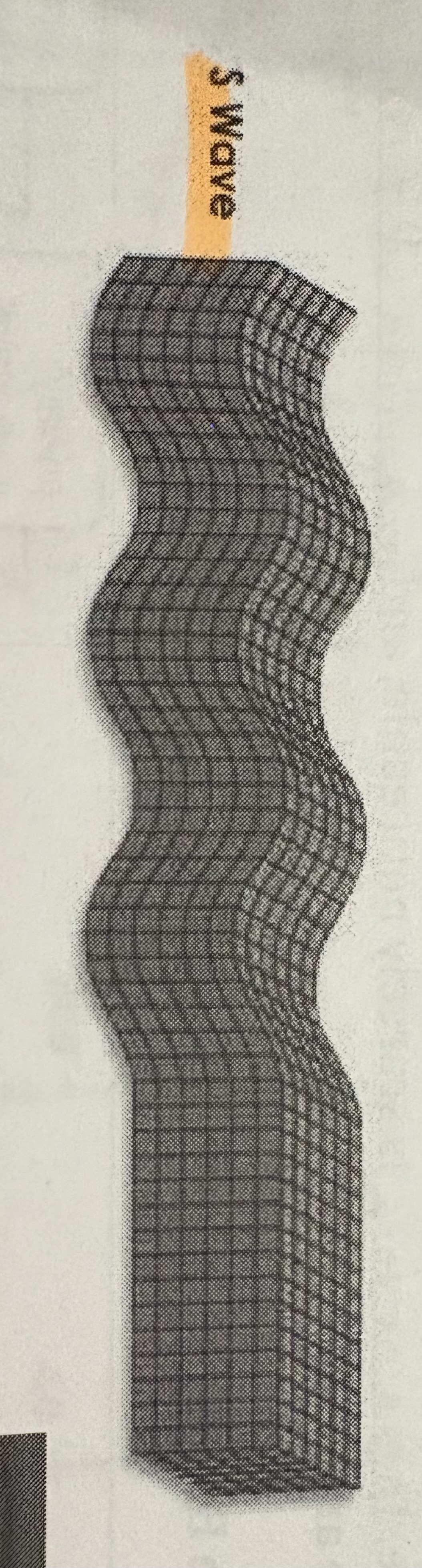 <p>Secondary waves (S-waves)</p>