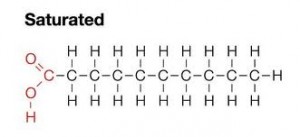 <ul><li><p>no double bonds</p></li><li><p>mostly animal fats</p></li></ul><p></p>