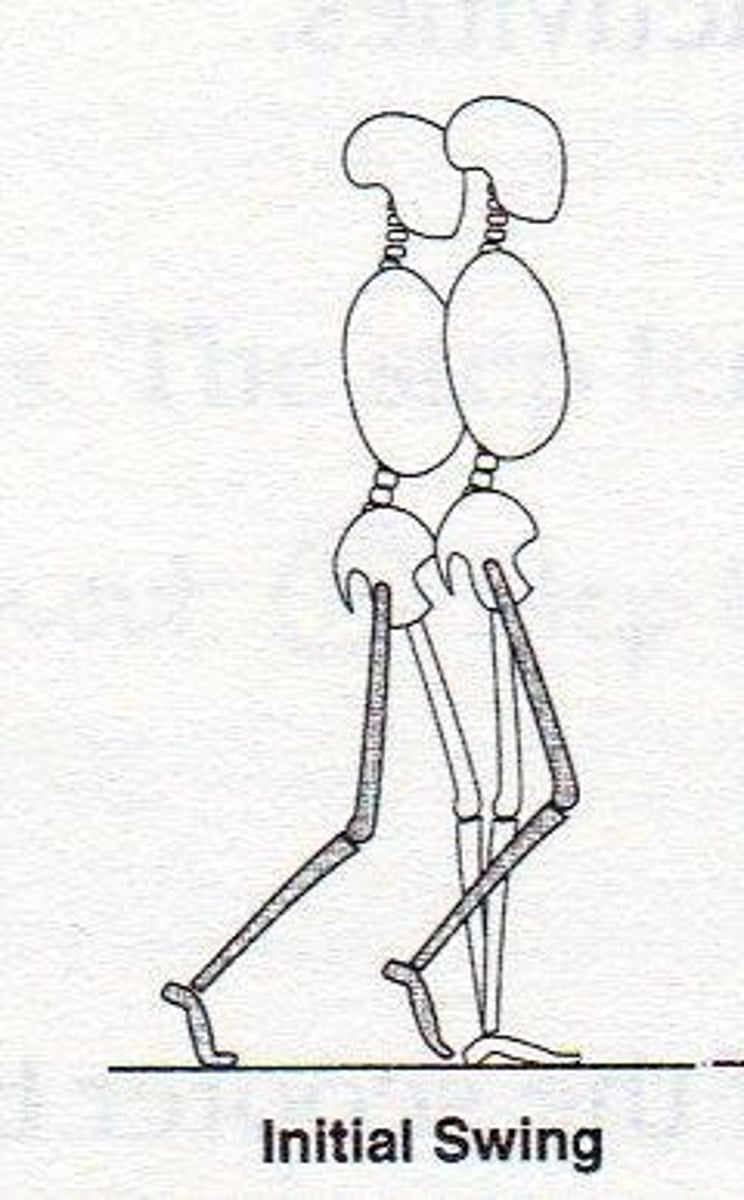 <p>Immediately after toe-off to mid-swing. (60%-75%)</p>