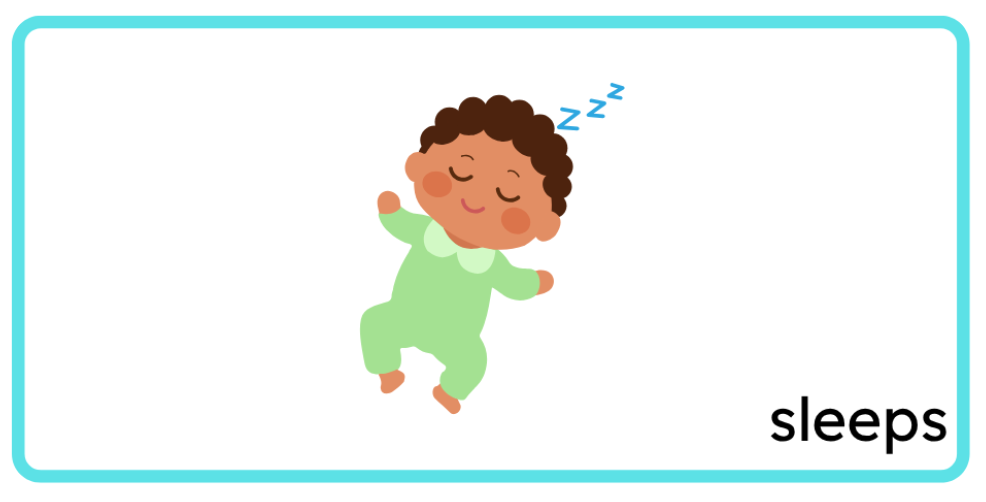 <p>sleeps</p>