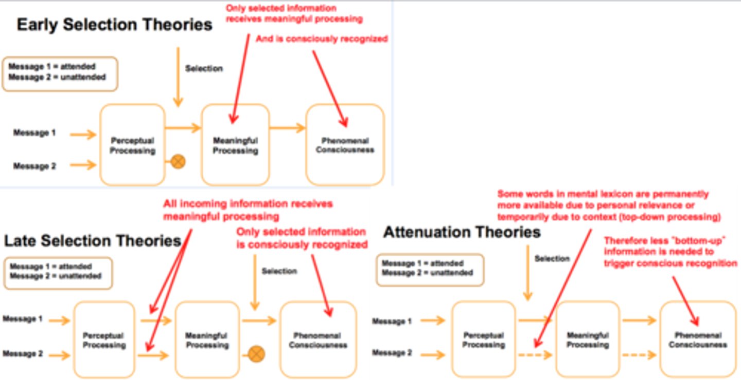<p>The selective filter that discriminates information to be processed in Deutsch's is after the perceptual processing, but is before this in Broadbent's.</p>