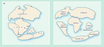 <p>the idea that the continents were once together, but have since split apart (pangea)</p>