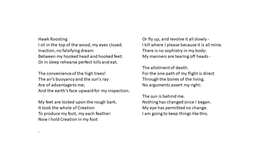 <p>Analyse this poem. (5)</p>