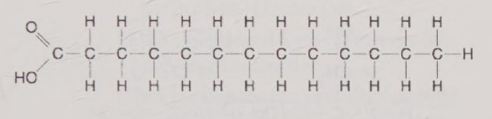 <p>What is the molecule illustrated in Figure 5.2</p><p>A) a saturated fatty acid </p><p>B) an unsaturated fatty acid </p><p>C) a polyunsaturated triacylglyceride </p><p>D) a trans polyunsaturated triacylglyceride </p><p>E) a steroid similar to cholesterol</p>