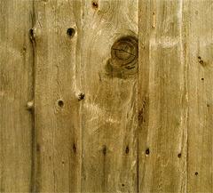 Voids in the wood left by insects.