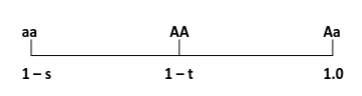 <p>Heterozygote superiority</p>
