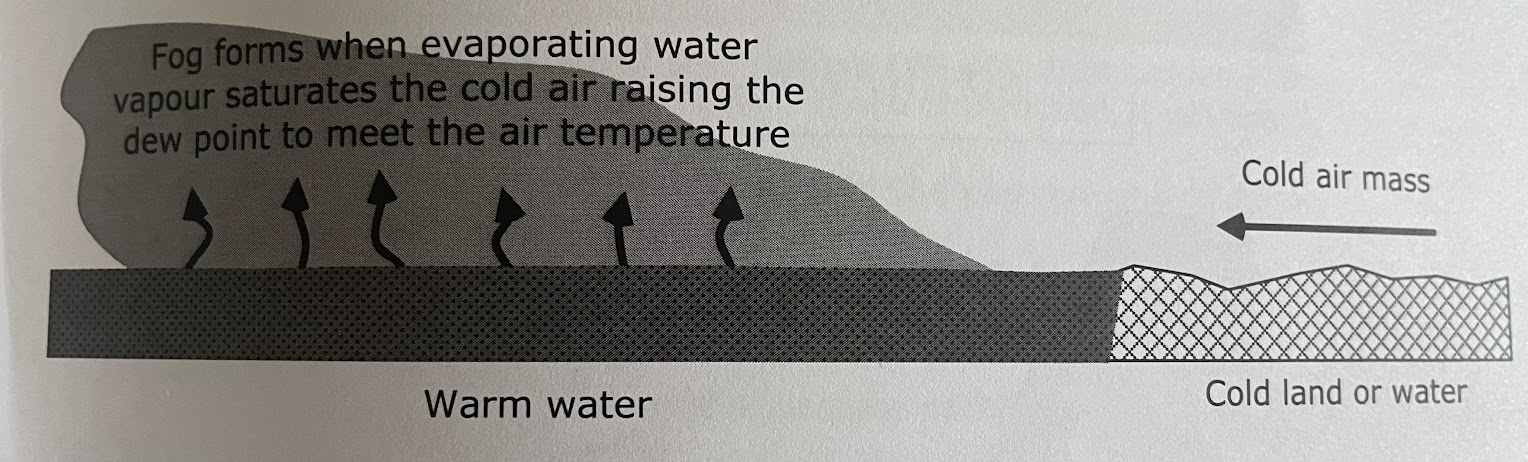 <p>forms through a process of evaporation and re-condensation. when cold air flows over relatively warm water, the water warms the layers of air closest to it and evaporation of the water occurs. The warmed air rises and then cools as it mixes with the colder air above and condensation occurs. As the warmed air rises further and mixes with more cold, dry air, the relative humidity drops and the moisture re-evaporates</p>