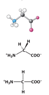 <p>Hydrophobic R-group. </p>