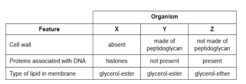 <p><span style="background-color: transparent;">The chart shows features of three organisms X, Y and Z. To which domain does each organism belong? </span></p><p></p>