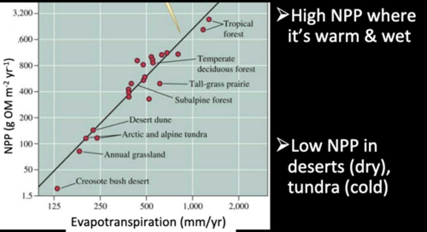 <p>... based on traditional biomes<br><br>- patterns are based on the environment being controlled by purely natural climatic and ecological processes<br><br>- can also be affected by human modifications to process</p>