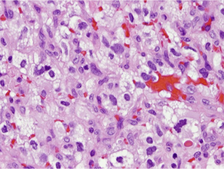 <p>What does this refer to</p>