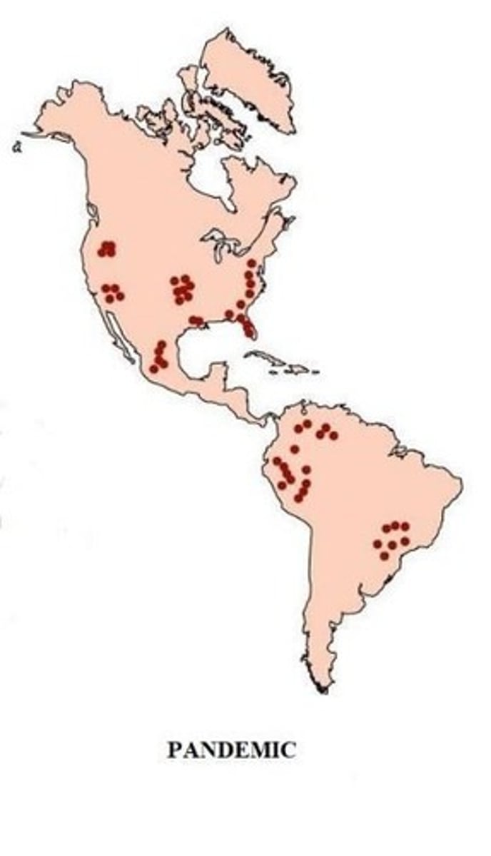 <p>Large numbers of people over a wide geographic area affected.</p>