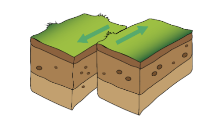 <p>Identify the fault in the illustration above.</p>